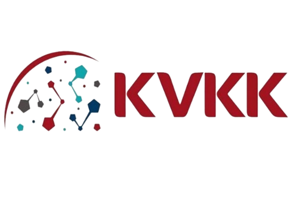 Kişisel Verilerin Korunması Kanunu Uyum Danışmanlığı